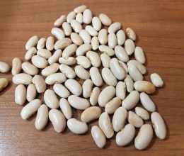 لوبیای رشتی