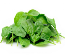 سبزی اسفناج