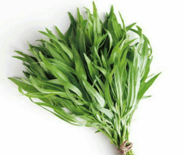 سبزی ترخون